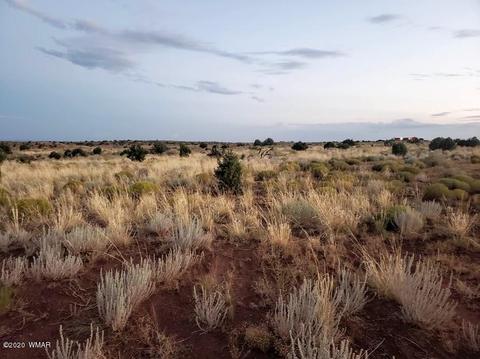 8749 E Concho Hwy, Snowflake, AZ 85937 photo 4
