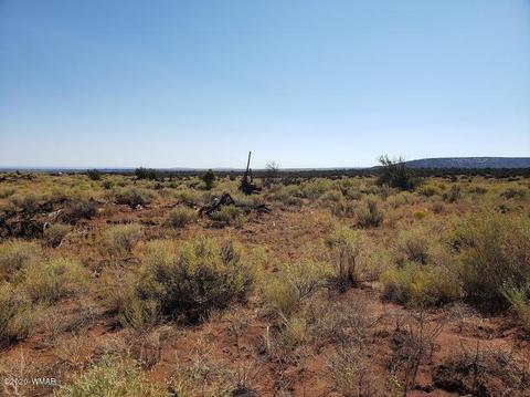 8749 E Concho Hwy, Snowflake, AZ 85937 photo 7