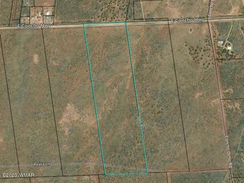 8749 E Concho Hwy, Snowflake, AZ 85937 photo 27