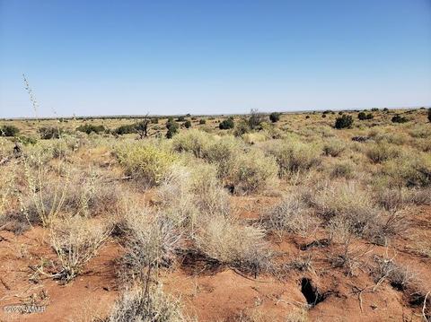 8749 E Concho Hwy, Snowflake, AZ 85937 photo 8