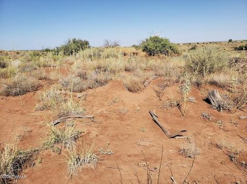8749 E Concho Hwy, Snowflake, AZ 85937 photo 10