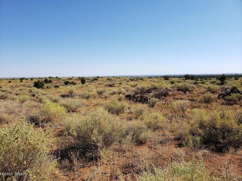 8749 E Concho Hwy, Snowflake, AZ 85937 photo 22