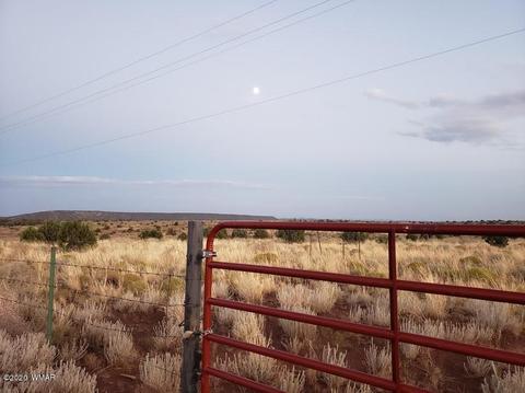 8749 E Concho Hwy, Snowflake, AZ 85937 photo 2