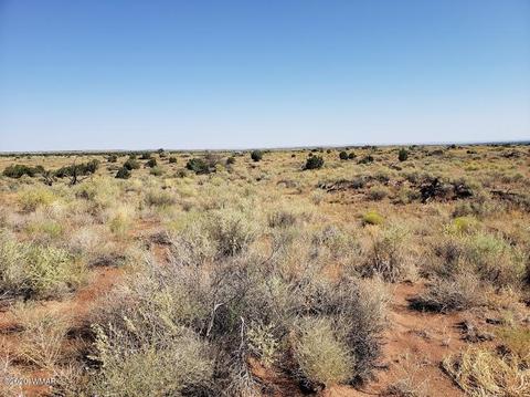 8749 E Concho Hwy, Snowflake, AZ 85937 photo 14