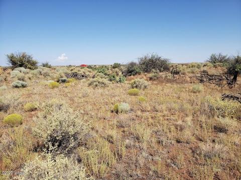 8749 E Concho Hwy, Snowflake, AZ 85937 photo 19