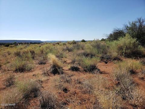 8749 E Concho Hwy, Snowflake, AZ 85937 photo 5
