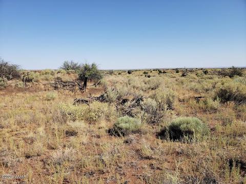 8749 E Concho Hwy, Snowflake, AZ 85937 photo 18