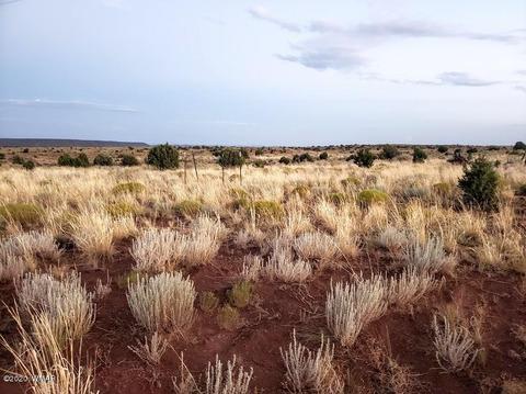 8749 E Concho Hwy, Snowflake, AZ 85937 photo 3
