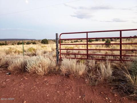 8749 E Concho Hwy, Snowflake, AZ 85937 photo 1