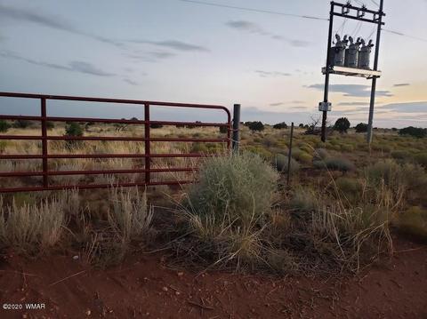 8749 E Concho Hwy, Snowflake, AZ 85937 photo 24