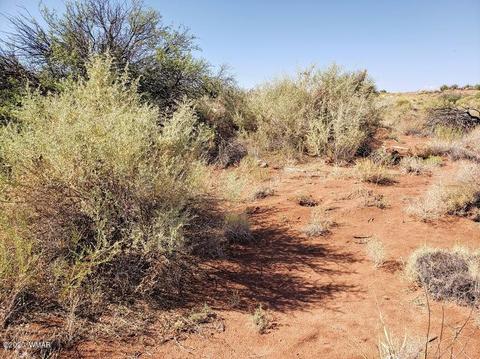 8749 E Concho Hwy, Snowflake, AZ 85937 photo 11