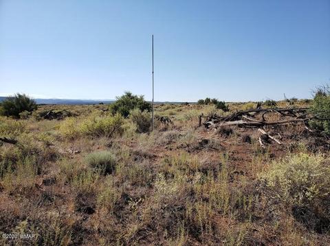8749 E Concho Hwy, Snowflake, AZ 85937 photo 17
