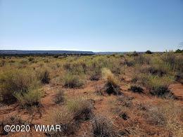 8749 E Concho Hwy, Snowflake, AZ 85937 photo 6