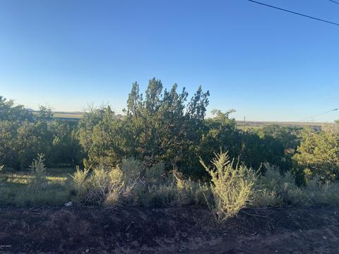 lot9 Sunset Dr, Eagar, AZ 85925