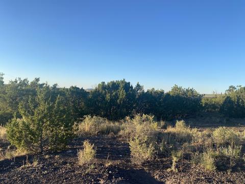 lot10 Sunset Dr, Eagar, AZ 85925