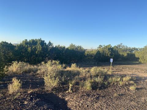 lot11 Sunset Dr, Eagar, AZ 85925