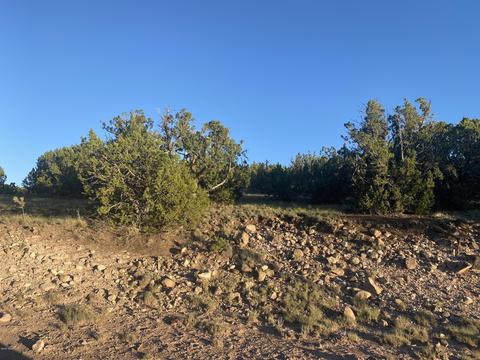 lot13 Sunset Dr, Eagar, AZ 85925 photo 2
