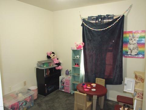 715 E Pebble Ln, Taylor, AZ 85939 photo 12
