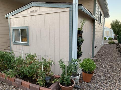 8209 Rainbow Loop, Show Low, AZ 85901 photo 22