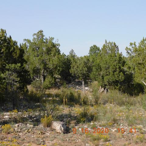 3154 Trails End, Overgaard, AZ 85933 photo 1
