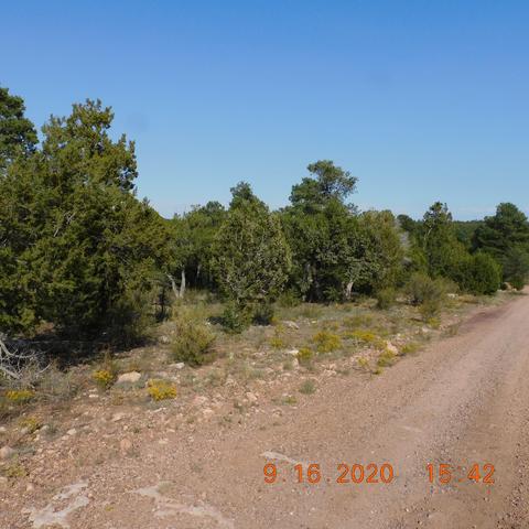 3154 Trails End, Overgaard, AZ 85933 photo 4