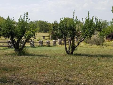 110 N Burk St, Eagar, AZ 85925 photo 56