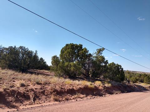 3894 Hidden Ranch Rd, Snowflake, AZ 85937 photo 3