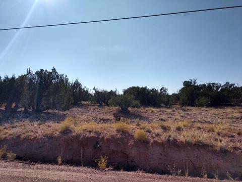 3894 Hidden Ranch Rd, Snowflake, AZ 85937 photo 5