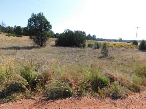 2769 Sunflower Dr, Overgaard, AZ 85933 photo 5