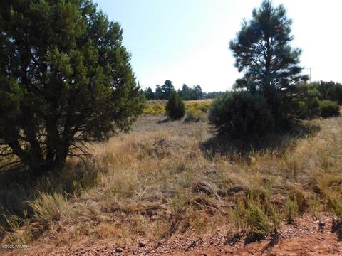 2769 Sunflower Dr, Overgaard, AZ 85933 photo 1