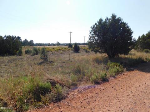 2769 Sunflower Dr, Overgaard, AZ 85933 photo 3