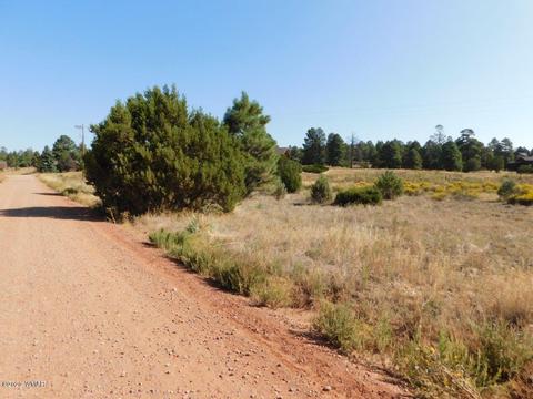 2769 Sunflower Dr, Overgaard, AZ 85933 photo 2