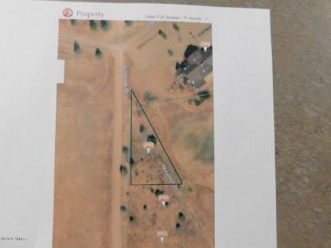 2769 Sunflower Dr, Overgaard, AZ 85933 photo 6