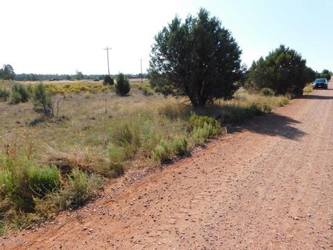 2769 Sunflower Dr, Overgaard, AZ 85933 photo 4