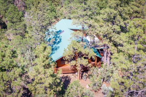 2795 W Valley Cut, Overgaard, AZ 85933 photo 23