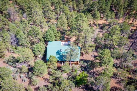 2795 W Valley Cut, Overgaard, AZ 85933 photo 22