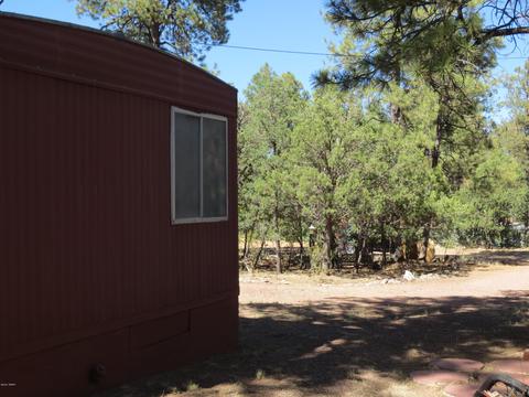 2189 Last Trl, Overgaard, AZ 85933 photo 25