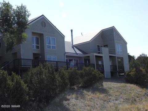 884 E 1st Ln, Eagar, AZ 85925 photo 47