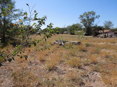215 E 4th St, Eagar, AZ 85925 photo 34