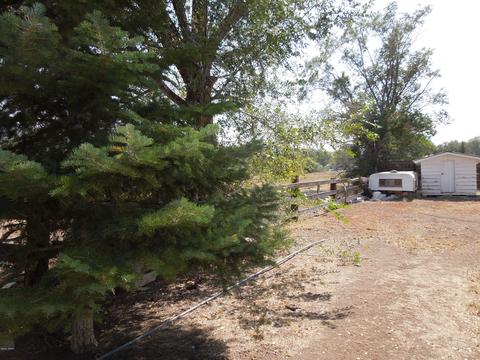 215 E 4th St, Eagar, AZ 85925 photo 19