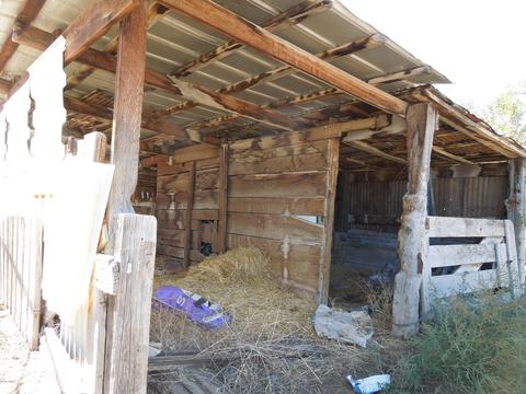 215 E 4th St, Eagar, AZ 85925 photo 32