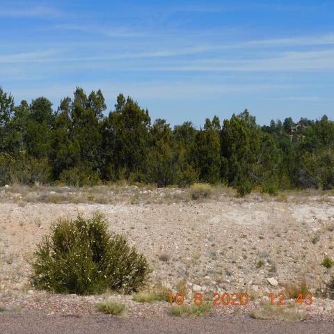 3361 Spring Ct, Heber, AZ 85928 photo 1