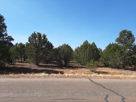 2958 E Lookout Ln, Overgaard, AZ 85933 photo 2