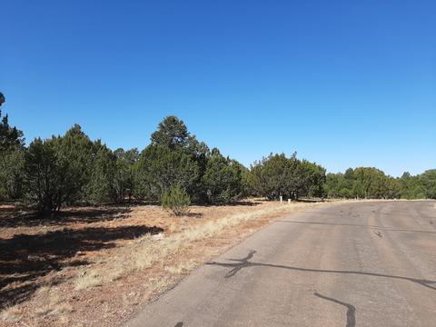 2958 E Lookout Ln, Overgaard, AZ 85933 photo 4