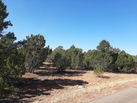 2958 E Lookout Ln, Overgaard, AZ 85933 photo 5