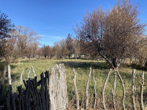 778 S Main St, Eagar, AZ 85925 photo 37