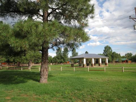 2715 High Pine Loop, Overgaard, AZ 85933 photo 27
