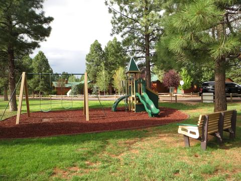 2715 High Pine Loop, Overgaard, AZ 85933 photo 31