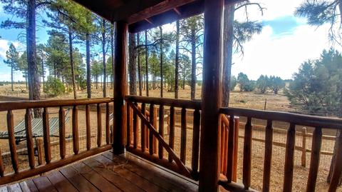 2715 High Pine Loop, Overgaard, AZ 85933 photo 25