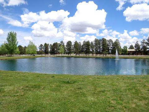 2715 High Pine Loop, Overgaard, AZ 85933 photo 28
